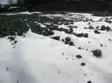 (V) 157485 Rullakoko 6x100 Metriä - Filterdukar - 6430050417130 - 2