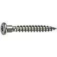 Naulauslevyruuvi 4,8x40mm Kupukanta TX20 - Erikoiskiinnikkeet ja Erikoisruuvit - 6417926311792 - 1