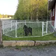 Hundgårdpaket Jämpti Pro Mini 1+11 - Hundkojor och Hundgårdar - 6438411010815 - 1