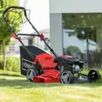 Vetävä Ruohonleikkuri MS161-46 Scheppach - Polttoainekäyttöiset Ruohonleikkurit - 4046664139225 - 1