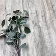Vinyylilankku Järnvik Natur Sviby KL33 - Vinyylilattiat - 6430049655819 - 1